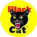 Black Cat Bottle Rockets - Loud Report
